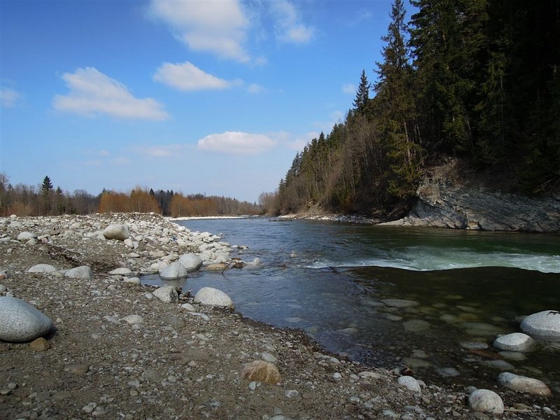 białka rzeka.JPG
