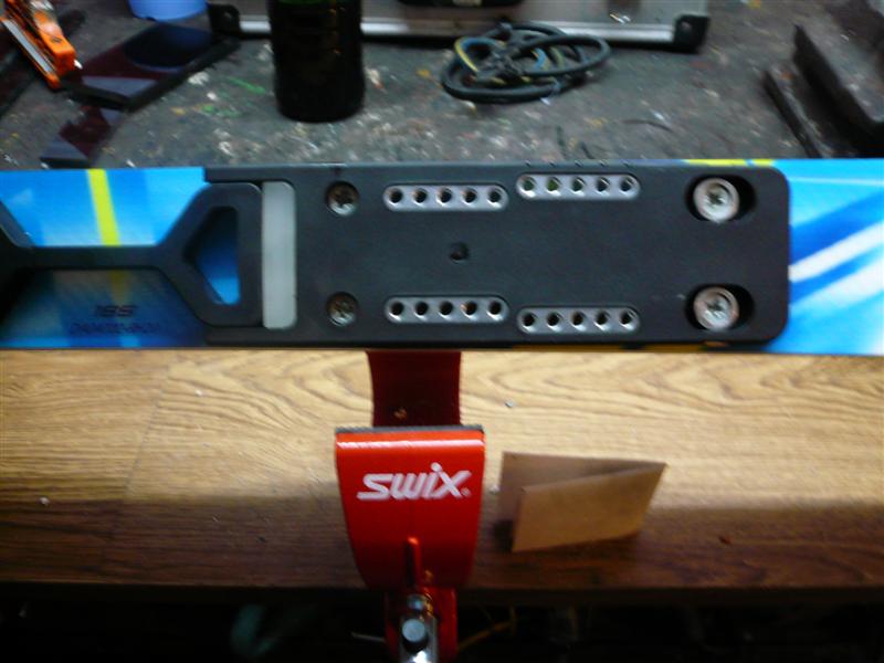 P1050431 (Medium).JPG