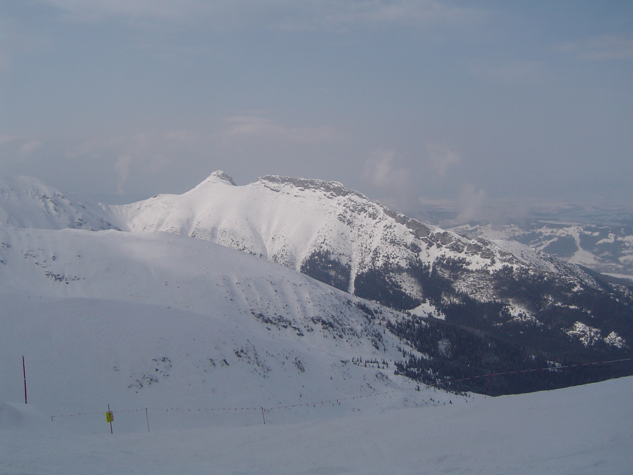 DSC08354.JPG