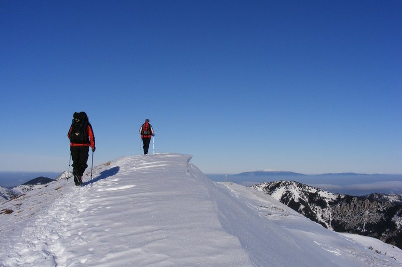 Dol Chochołowska 2010 154.jpg