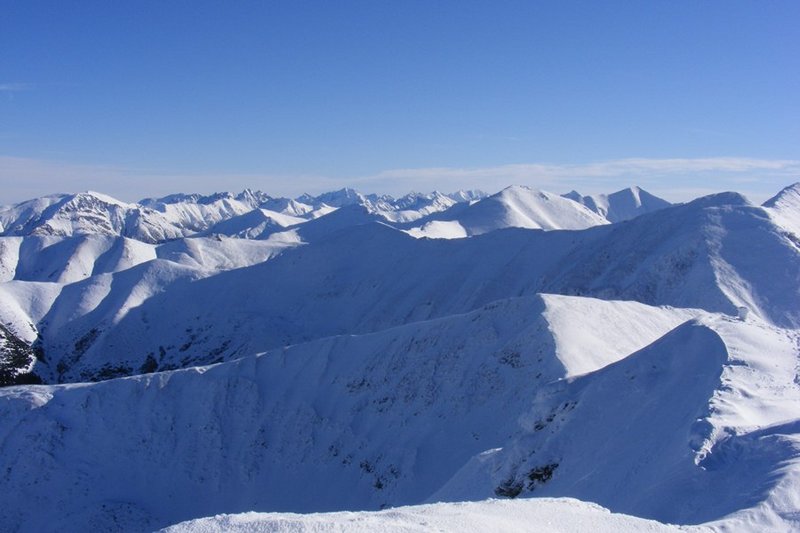 Dol Chochołowska 2010 066.jpg