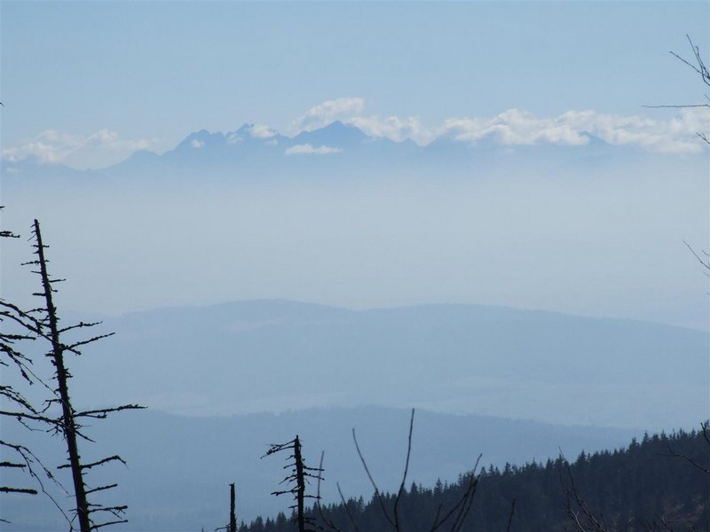 DSCF8220 (Large).JPG